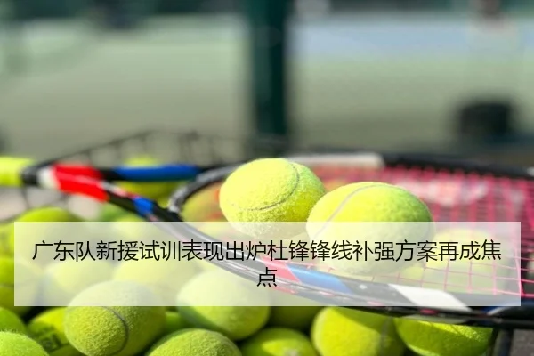 广东队新援试训表现出炉杜锋锋线补强方案再成焦点